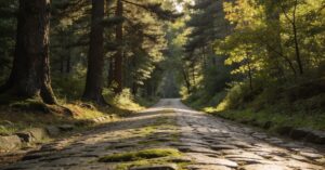 Kronprinzessinnenweg: Die schönste Radstrecke durch den Berliner Grunewald